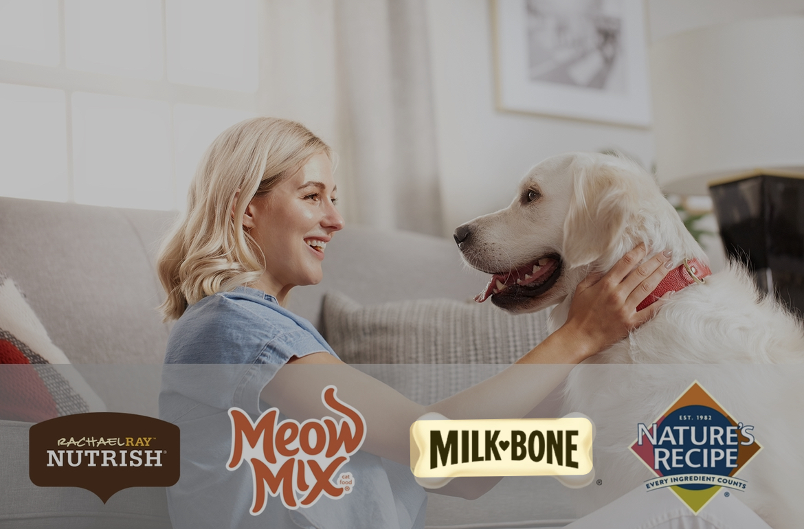 a dog looking at the camera