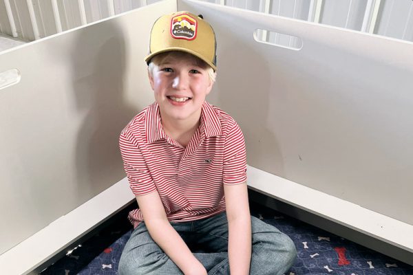 a boy sitting on the floor with many puppies