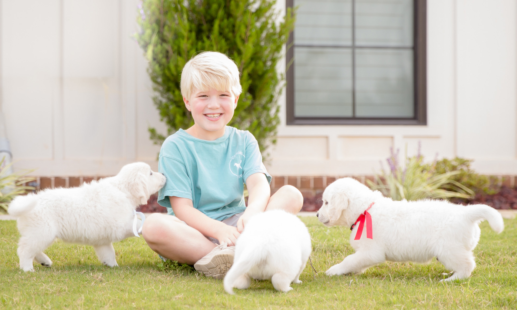 a woman holding a dog