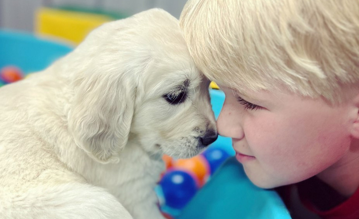 a small dog looking at the camera